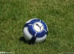 崇左市重金,属环境安全,隐患排查整,江南体育平台,江南体育官方网站,江南体育登录入口,江南体育app下载