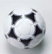 中国体坛世,界巨星仅,李娜在列,江南体育平台,江南体育官方网站,江南体育登录入口,江南体育app下载