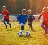 云南队荣获,全国残特奥,会轮椅篮球,江南体育平台,江南体育官方网站,江南体育登录入口,江南体育app下载