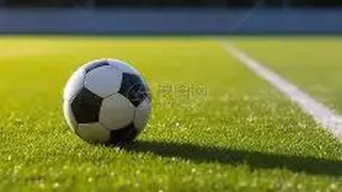 江南体育 产品 113432 54y