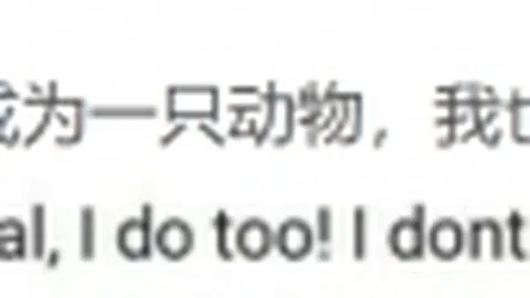 江南体育 资讯 112219 vqp